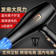 Hair Dryer High Power Negative Ion Hair Dryer Hair Salon Hair Dryer