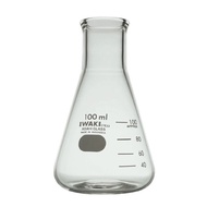 ERLENMEYER FLASK 200mL. Erlenmeyer Pumpkin. IWAKI