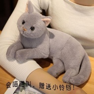 Kitten Pillow Cat Doll Blue Cat Ragdoll Cute Simulation Cat Doll Plush Toys Children Girls Gift Kitt