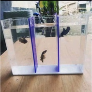 Acrylic Aquarium 30x10x15