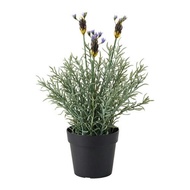 Ikea FEJKA Artificial potted plant, Lavender lilac, 9 cm
