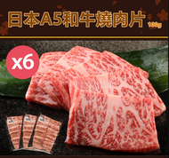 【日本和牛】 日本頂級A5和牛燒肉片100gX6盒(肉質鮮嫩/入口即化)(3/11陸續出貨)