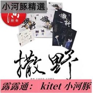 精品王嚴選《撒野》小說繁體簡體橫排全無刪減版巫哲番外含周邊