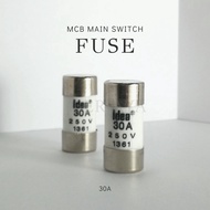 High Quality Fuse Link 30A 250V MCB Main Switch Fuse