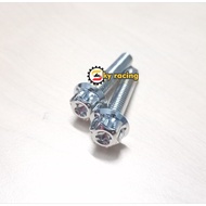 Salaya S3 stainless steel 304 8mm screws mounted to decorate motorbikes (MS08)
