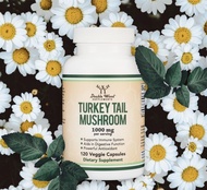 Turkey Tail Mushroom - Double Wood 120 Capsules Immune System Support