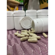 Minyak Gamat Asli Dan Kapsul gamat