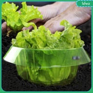 [Lsfwz] Garden Plant Cloche Protective Cover for Vegetables Planters Pots Versatile