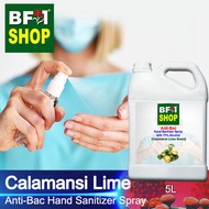 Anti Bacterial Hand Sanitizer Spray with 75% Alcohol - lime - Calamansi Lime Anti Bacterial Hand Sanitizer Spray - 5L