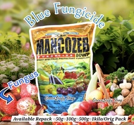 MANCOZEB FUNGICIDE 80WP BROAD SPECTRUM PROTECTANT BLUE POWDER