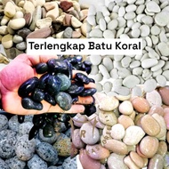 Coral stone, coral stone, natural stone, kupang coral, garden stone, mace stone, wholesale decoratio