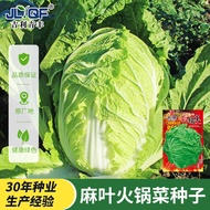 Hemp Leaf Hot Pot Vegetable Seeds Gluten-Free Chinese Cabbage Wrinkled Leaves Chinese Cabbage Seeds 
