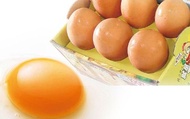 【就是好蛋 土雞蛋20顆】來自花蓮縣壽豐鄉 放山土雞的無毒土雞蛋!
