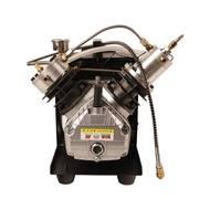4500Psi 300Bar PCP Air Compressor Mini High Pressure Air Compressor Diving Compressor for Scuba Divi