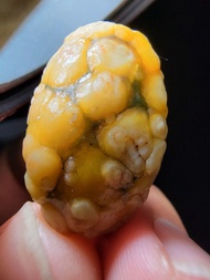 阿拉善 精品 戈壁石 魚籽筋脈瑪瑙 奇石 Gobi stone