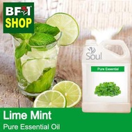 Pure Essential Oil (EO) - Mint - Lime Mint Essential Oil - 5L