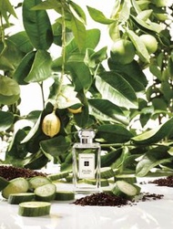 Jo Malone EARL GREY & CUCUMBER COLOGNE 伯爵茶與小黃瓜香水 100ml