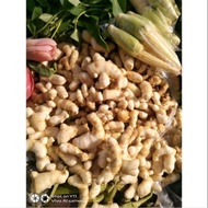 TEMULAWAK FRESH 500GRM/SETENGAH KILO