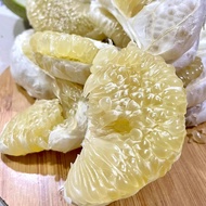 Pokok Limau Bali Isi Putih/Citrus Grandis Saiz Besar