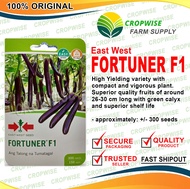 East West EASTWEST Seeds FORTUNER F1 Eggplant Talong