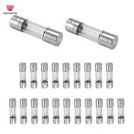 20 x 250 V 2A F2AL Quick F link Glass tube fuse 5 mm x 20 mm