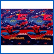 ﹍ ▝ ☃ SEAT COVER SET AND CURTAIN FOR E-BIKE 3 WHEELS NWOW, ERVS 2, ERVS 3 , CHANDA,HAMSUN ETC