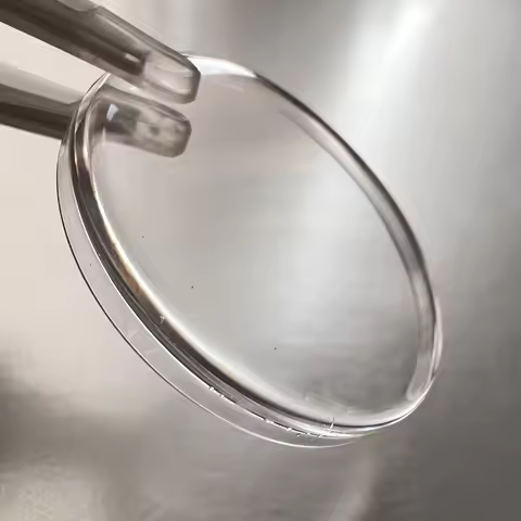Watch Plastic Plexi Acrylic Crystal Glass for Rolex Oyster Perpetual 6619/6615 19.95*3.2mm
