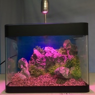 Aquarium Mini Tank Aquatic Set