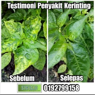 S7GUARD  :  KAWALAN SERANGGA DAN BAJA HERBA 50ml