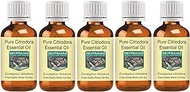 Devprayag Pure Citriodora Essential Oil (Eucalyptus citriodora) Natural Therapeutic Grade Steam Distilled (Pack of Five) 100ml X 5 (16.9 oz)