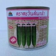 BENIH TIMUN BATANG THAILAND PREMIUM HYBRID CUCUMBER SEED seeds (not live plants)