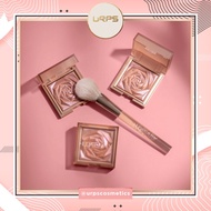 URPS-HBeauty NYMH Cheek Blush & Glow Brush