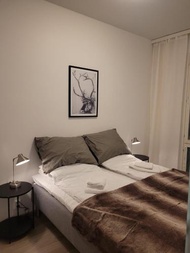 Nordica Downtown Apartment