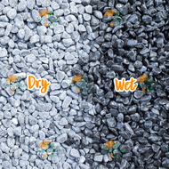 1KG Pebble Wash Stone Floor epoxy River Pebble Gardening Landscape Aquarium Decoration Batu kacang Hiasan Putih 鹅卵石 洗石