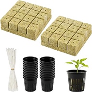 ECcandiedhaws 76 pcs Pack of hydroponic Rock Wool Cubes with mesh Tray 22 Pack of Slotted mesh Cups 22pcs of hydroponic self-Watering Cotton core Rope Suitable for hydroponic Growing Systems