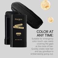 Hoegoa Black Colours Hair Dye Stick One-Time Strong Molding Temporary Cosplay For Men Women Permanen