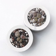 (預購) 白灰漸層系列 | 石頭玉 生石花 小圓形雙色水泥多肉植栽