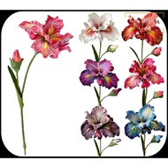 2 Heads Premium Luxe Iris Flower EVA Home Office Wedding Decorations|Bunga Premium Perkahwinan