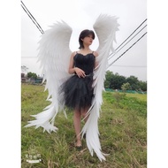 Angle wings angel wings swept wings length 1m8 width 1m6