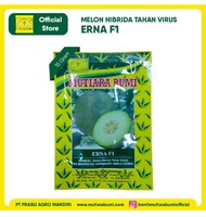 Benih Melon Erna F1 15 Gram isi 500-600 biji Mutiara Bumi