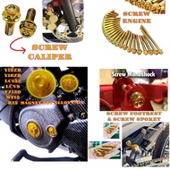 YAMAHA Y16ZR Y15ZR LC135 LCV8 SKRU DISC SKRU EXHAUST CASING MAGNET SCREW COVER ENGINE SKRU SPROCKET 