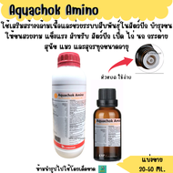 Aquachok Amino (แบ่งขาย 30 ML.) วิตามินและกรดอะมิโนจำเป็น