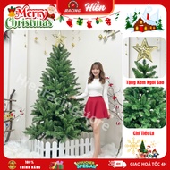 Christmas Tree 1m2–2m4 High Beautiful Christmas Decoration for Home, Living Room, Luxury Store