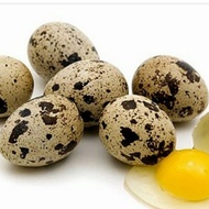 telur puyuh mentah 1kg