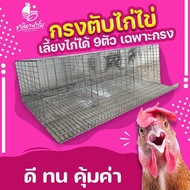 กรงตับไก่ไข่ เฉพาะกรง ใส่ไก่ได้9ตัว กรงไก่ กรงไก่ไข่ กรงตับ กงตับ chicken cage hen cage