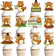 Gameza Groundhog Day Cupcake Toppers Decorations, 48PCS Cartoon Groundhog Cake Topper Decoration, We
