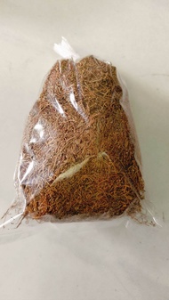 Suntil Kuning Untuk Makan Sirih Nginang Suntil Asli Medan