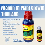[READY STOCK] Thailand B1 Vitamin Plant Growth Booster Vitamin Pokok 壮根营养液 Baja Penggalak Akar