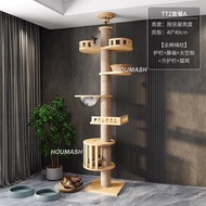 huh  Ceig Tower Tree Cat huh  Condo With Hammock Scratching Pole  uhu