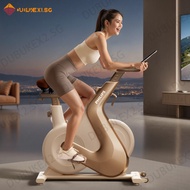 Dynamic Bike Home Exercise Equipment Smart Indoor Bike Weight Loss Bike Gym Stepper Exercise Spin Bi